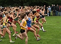 2010 NCAA West-015